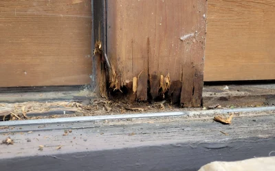 Timber Rot And Restoration Specialist Melbourne